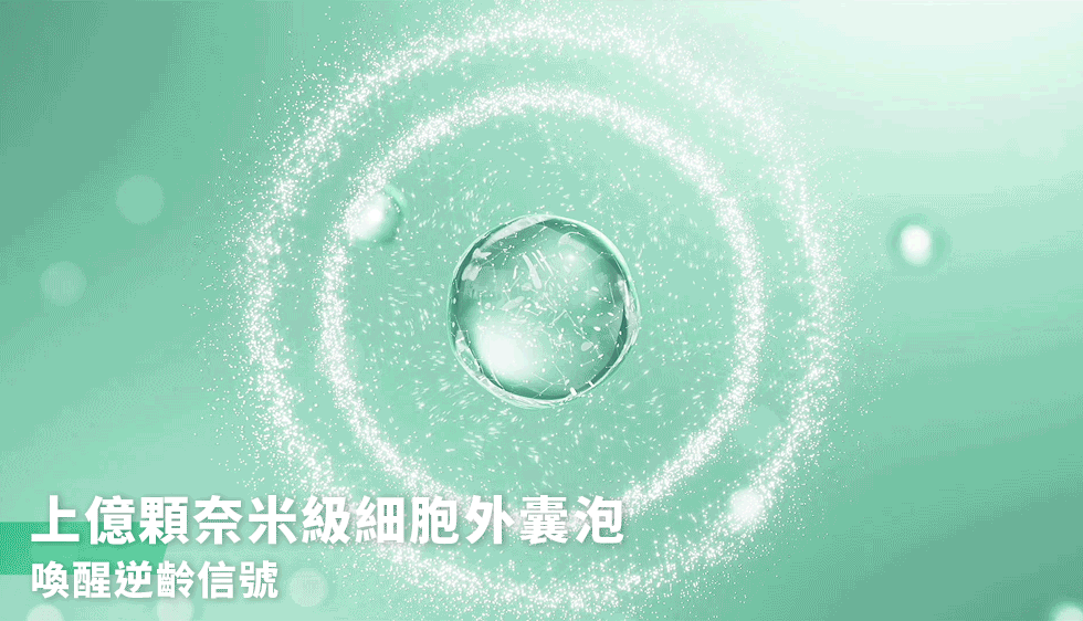薇佳｜超波肽外泌體藻針精華乳