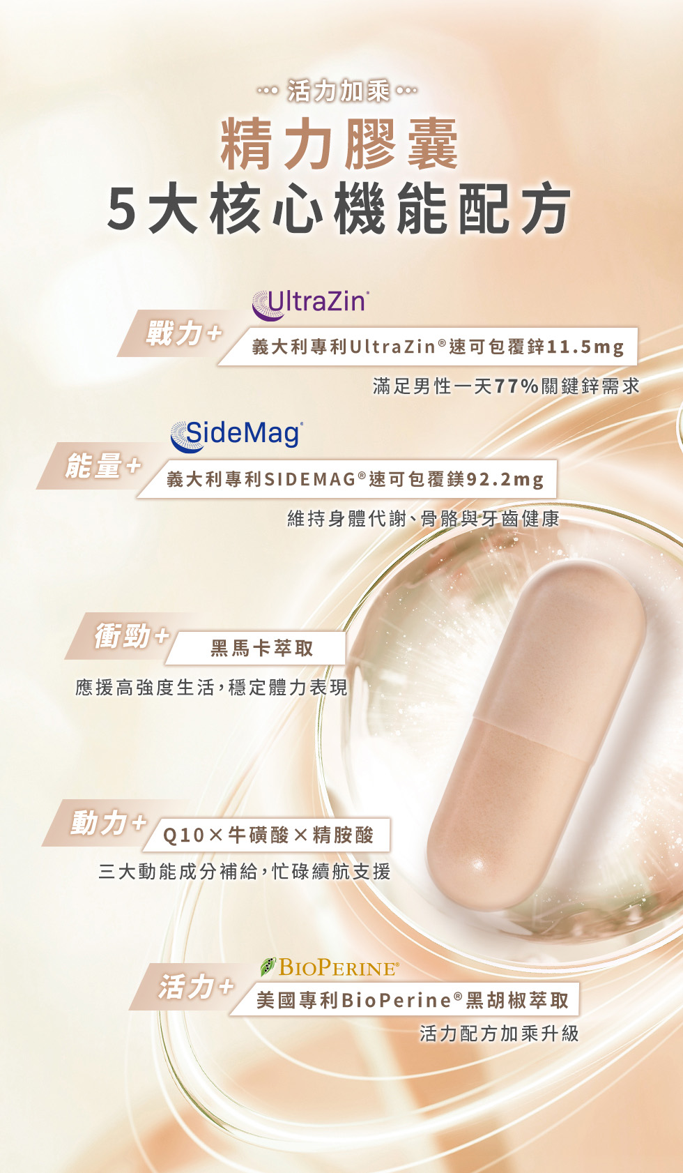 精力膠囊、活力加乘、鋅、鎂、黑馬卡、牛胺酸、精胺酸、Q10