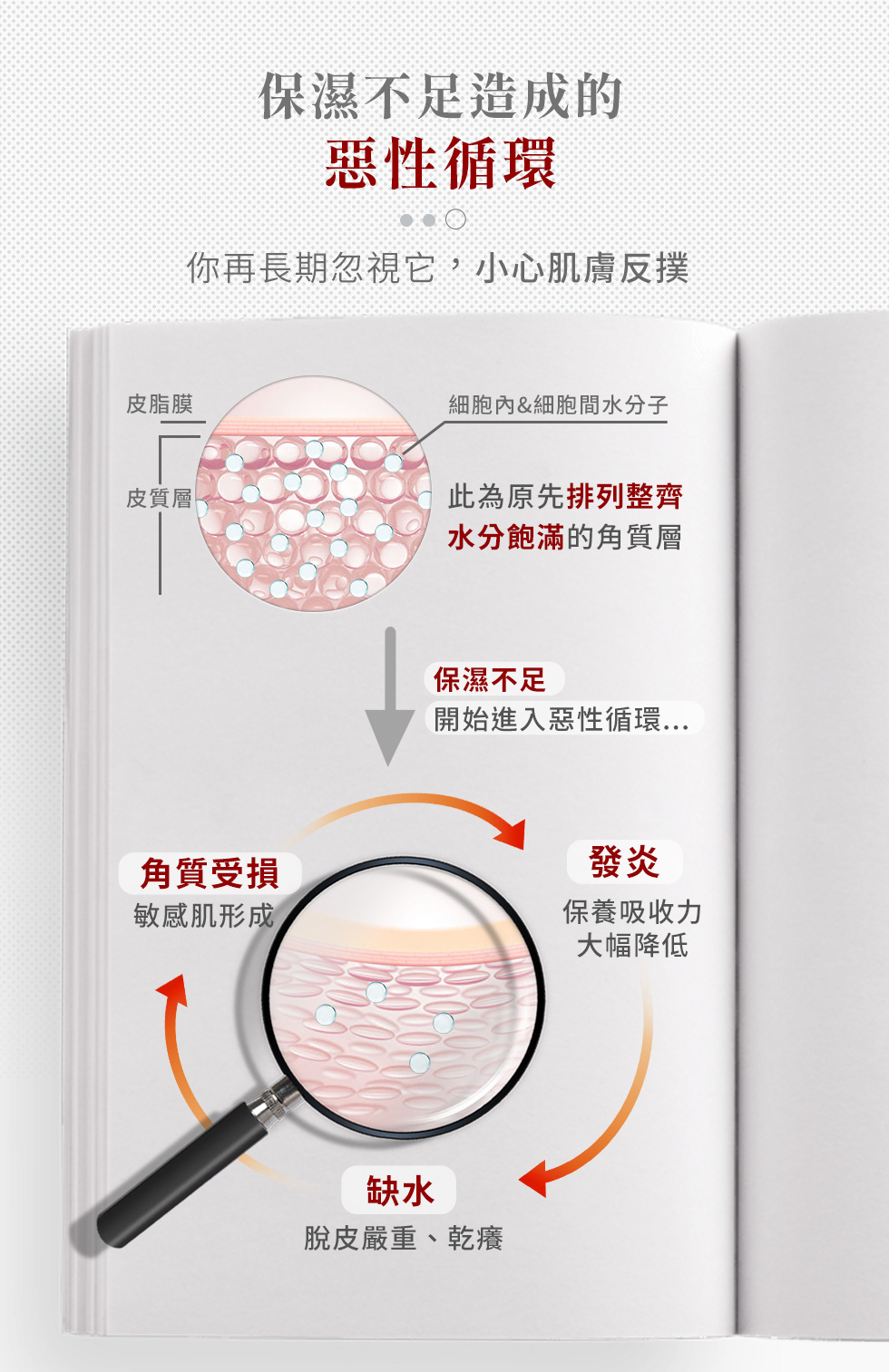 關鍵修護 提升肌膚防禦力 保濕滋潤