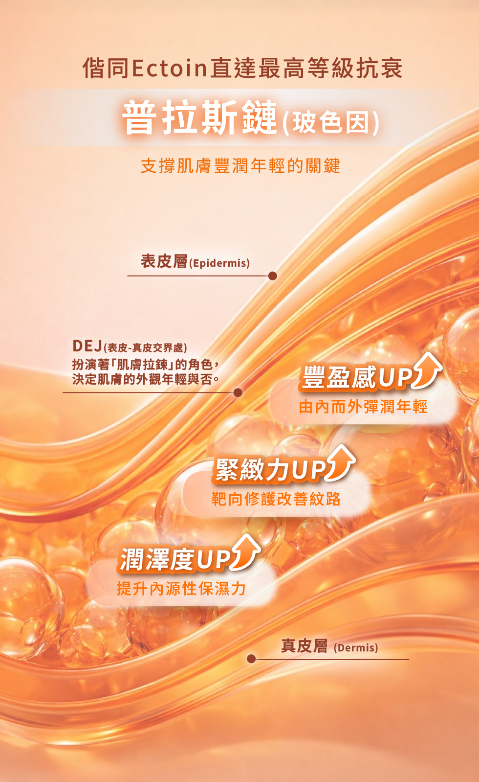 普拉斯鍊玻色因