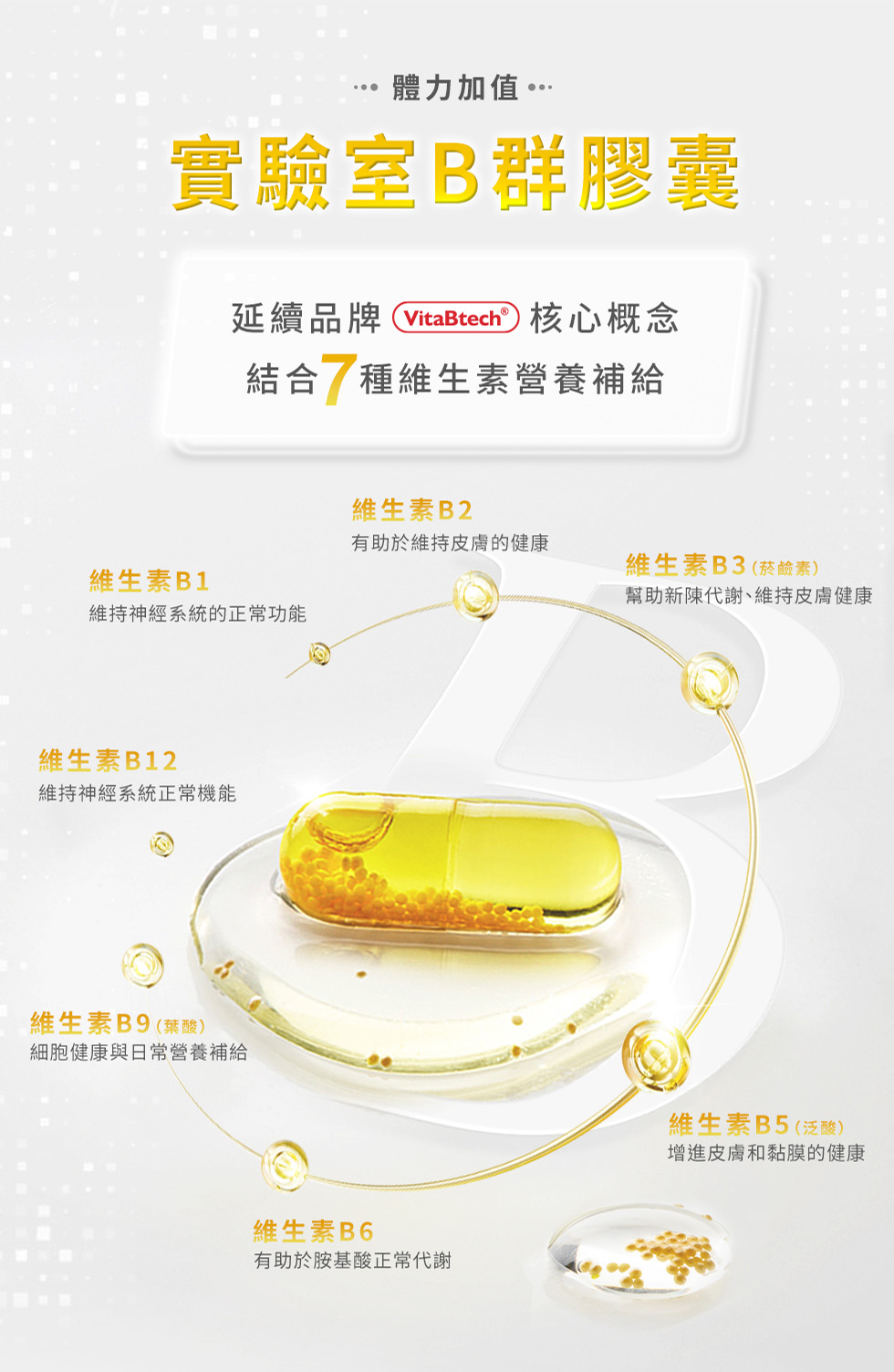體力加值、實驗室B群膠囊